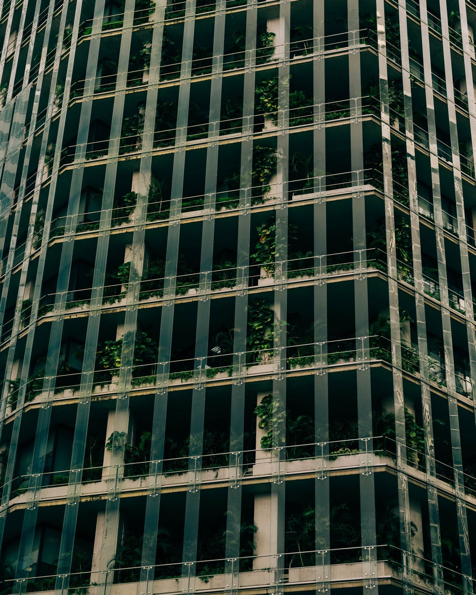 Green facade building with plants