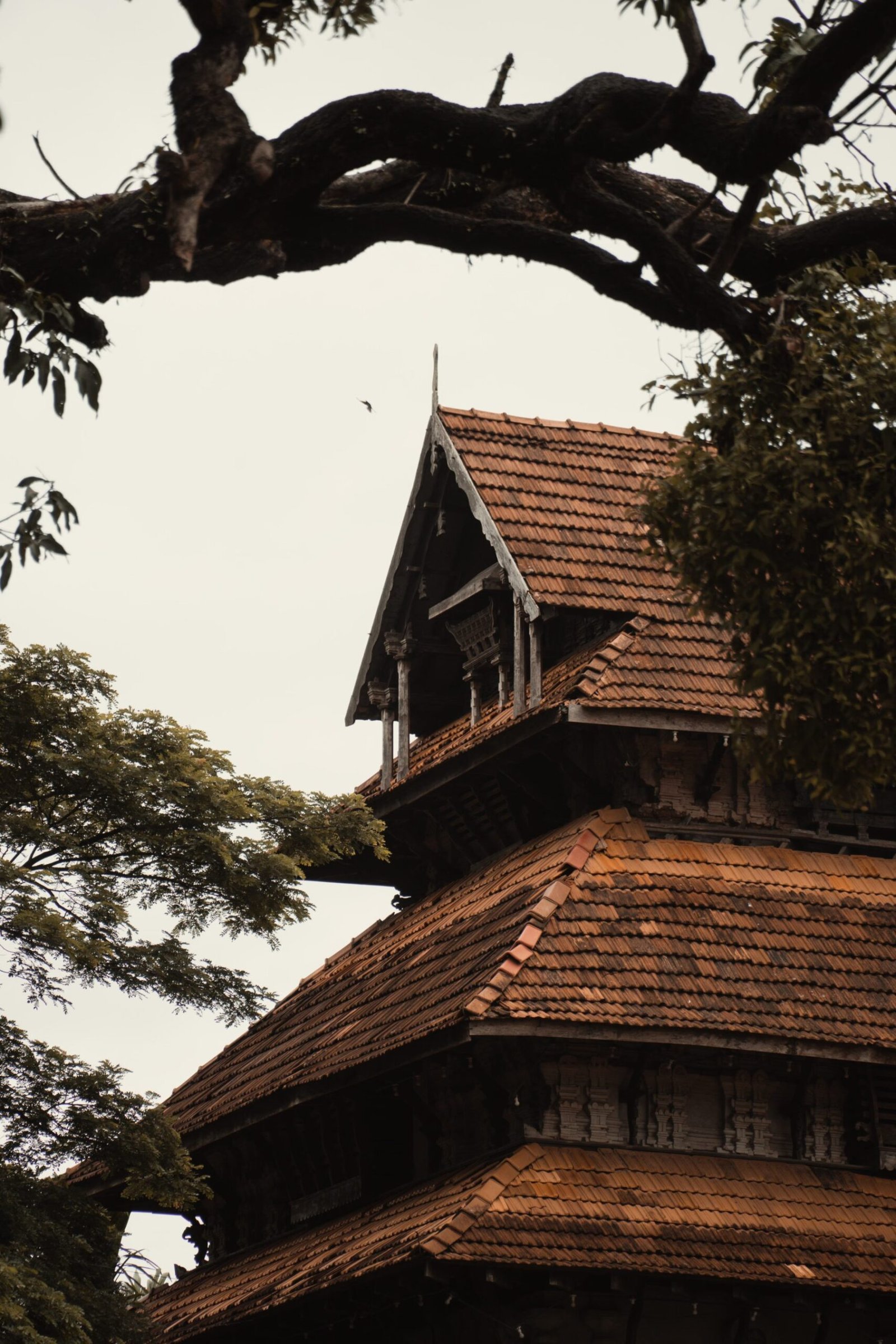 Why every Kerala home should still have a verandah