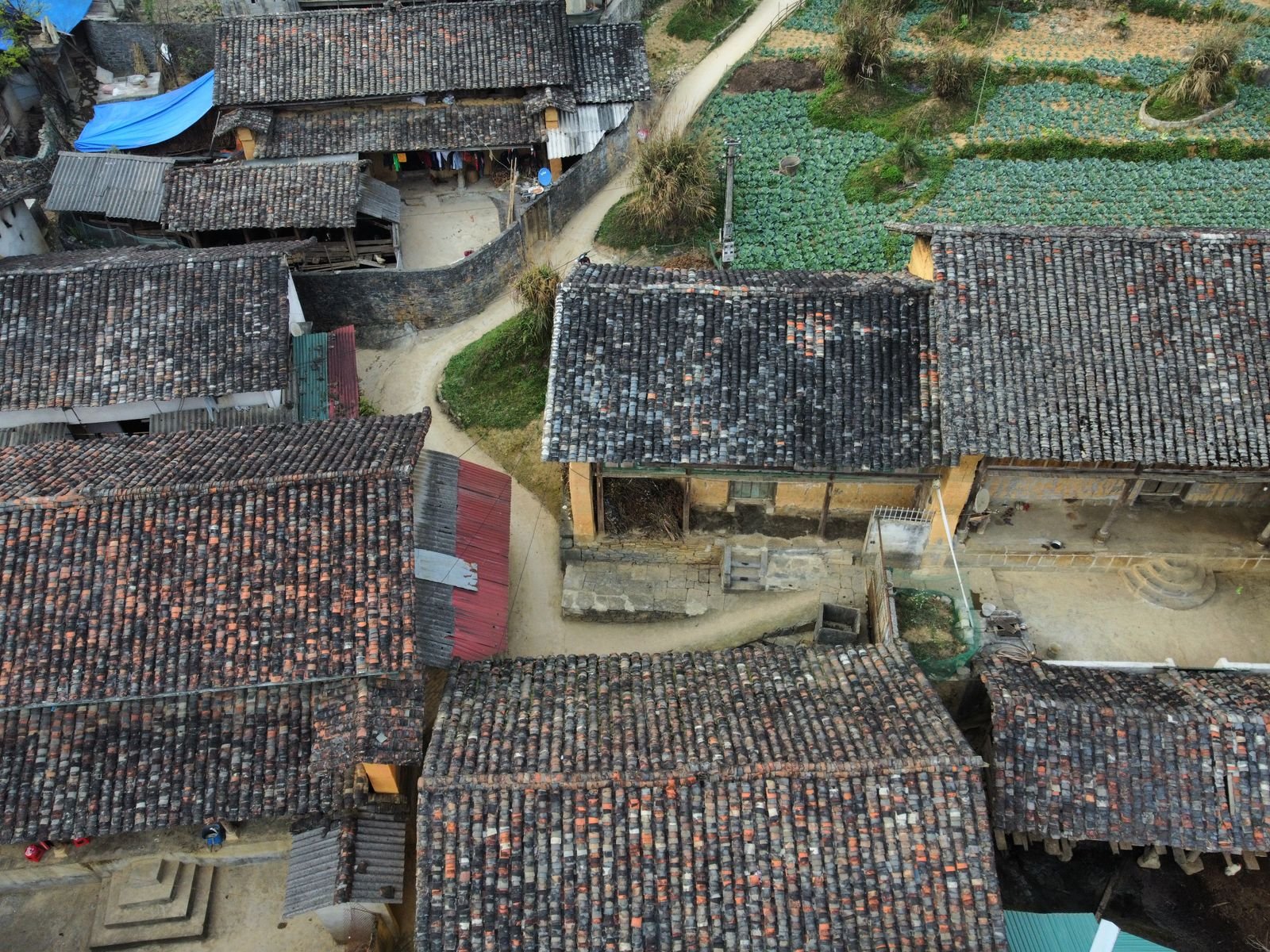 Building for the monsoon: materials and details that last in Kerala